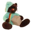 TY Beanie Baby - PACKER the Bear (7 inch) (Mint)