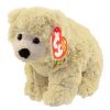 TY Beanie Baby - PARKA the Bear (5.5 inch) (Mint)