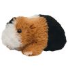 TY Beanie Baby - PATCHES the Guinea Pig (5.5 inch) (Mint)