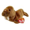 TY Beanie Baby - PAUL the Walrus (7 inch) (Mint)