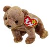 TY Beanie Baby - PECAN the Gold Bear (5.5 inch) (Mint)