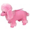TY Pinkys - SCRIBBLY the Poodle (w/ pen attached) ( Beanie Buddy Size ) (Mint)