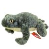 TY Beanie Baby - PONDER the Frog (6 inch) (Mint)