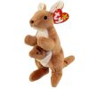 TY Beanie Baby - POUCH the Kangaroo (7 inch) (Mint)