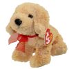 TY Beanie Baby - PUDDING the Dog (7 inch) (Mint)