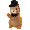 TY Beanie Baby - PUNXSUTAWN-e PHIL 2004 the Groundhog (7 inch - Mint)