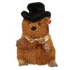 TY Beanie Baby - PUNXSUTAWN-e PHIL 2005 the Groundhog (6.5 inch - Mint)