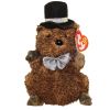 TY Beanie Baby - PUNXSUTAWN-e PHIL 2006 the Groundhog (6.5 inch - Mint)