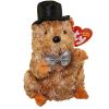 TY Beanie Baby - PUNXSUTAWN-e PHIL 2008 the Groundhog (6 inch - Mint)