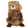 TY Beanie Baby - PUNXSUTAWN-e PHIL the Groundhog (6 inch - Mint)