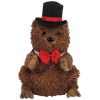 TY Beanie Baby - PUNXSUTAWNEY PHIL 2006 the Groundhog (Chamber of Commerce Exclusive) (6.5 inch) (Mi