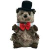 TY Beanie Baby - PUNXSUTAWNEY PHIL 2008 the Groundhog (Chamber of Commerce Exclusive) (6.5 inch) (Mi