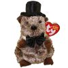 TY Beanie Baby - PUNXSUTAWNEY PHIL 2008 the Groundhog (6.5 inch) (Mint)