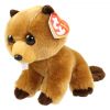 TY Beanie Baby - RICHIE the Beaver (6 inch) (Mint)