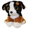 TY Beanie Baby - ROSCOE the Bernese Mountain Dog (6 inch) (Mint)