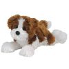 TY Beanie Baby - ROWDY the Dog (Brown & White Version) (7.5 inch) (Mint)