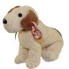 TY Beanie Baby - RUFUS the Dog (5.5 inch) (Mint)