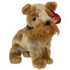 TY Beanie Baby - SCHNITZEL the Dog (6 inch) (Mint)