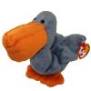 TY Beanie Baby - SCOOP the Pellican (5.5 inch) (Mint)