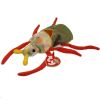 TY Beanie Baby - SCURRY the Beetle (6.5 inch) (Mint)