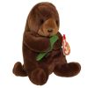 TY Beanie Baby - SEAWEED the Otter (6 inch) (Mint)