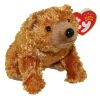 TY Beanie Baby - SEQUOIA the Brown Bear (5 inch) (Mint)