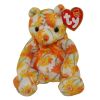 TY Beanie Baby - SHASTA the Bear (7 inch) (Mint)