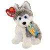 TY Beanie Baby - SLEDDER the Husky (6.5 inch) (Mint)