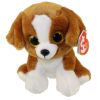 TY Beanie Baby - SNICKY the Dog (6 inch) (Mint)