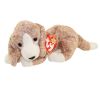 TY Beanie Baby - SNIFFER the Dog (6.5 inch) (Mint)