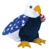 TY Beanie Baby - SOAR the Patriotic Eagle (5.5 inch) (Mint)