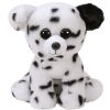 TY Beanie Baby - SPENCER the Dalmatian Dog (6 inch) (Mint)