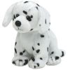 TY Beanie Baby - SPLOTCHES the Dalmatian (5.5 inch) (Mint)