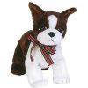 TY Beanie Baby - SPORT the Dog (6 inch) (Mint)