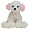 TY Beanie Baby - SUGARPUP the Dog (5.5 inch) (Mint)