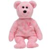 TY Beanie Baby - SUPPORT the Bear (8 inch) (Mint)