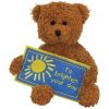 TY Beanie Baby - TO BRIGHTEN YOUR DAY the Bear (5 inch) (Mint)