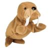 TY Beanie Baby - TUSK the Walrus (7.5 inch) (Mint)