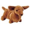 TY Beanie Baby - WEENIE the Dachshund Dog (7.5 inch) (Mint)