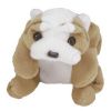 TY Beanie Baby - WRINKLES the Bull Dog (8 inch) (Mint)