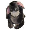 Disney Bean Bag Plush - EEYORE (Winnie the Pooh) (8 inch) (Mint)