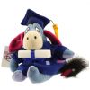 Disney Bean Bag Plush - GRADUATION EEYORE (Winnie the Pooh) (9 inch) (Mint)