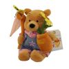 Disney Bean Bag Plush - COUNTRY GARDEN POOH (Winnie the Pooh) (8 inch) (Mint)