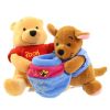 Disney Bean Bag Plush - FRIENDSHIP DAY POOH & ROO (Winnie the Pooh) (11 inch) (Mint)