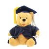 Disney Bean Bag Plush - GRADNITE POOH (Winnie the Pooh) (9 inch) (Mint)