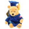 Disney Bean Bag Plush - GRADUATE POOH (Winnie the Pooh) (9 inch) (Mint)