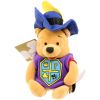 Disney Bean Bag Plush - MUSKETEER POOH (Winnie the Pooh) (9 inch) (Mint)