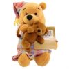 Disney Bean Bag Plush - NIGHTWEAR POOH (Winnie the Pooh) (8 inch) (Mint)