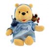 Disney Bean Bag Plush - NITE SHIRT POOH (Winnie the Pooh) (8.5 inch) (Mint)