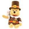 Disney Bean Bag Plush - PILGRIM POOH (Winnie the Pooh) (9.5 inch) (Mint)